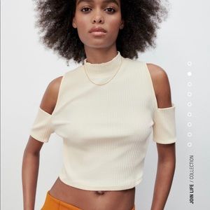 Zara Mock Neck Cut Out Top